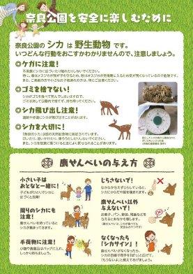 事故注意チラシ裏