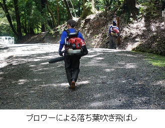 ブロワー吹き飛ばし