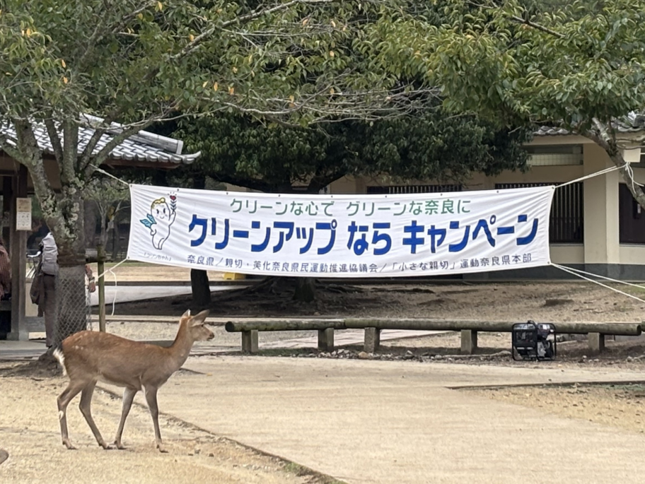 旗と鹿