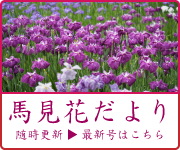 馬見花だより