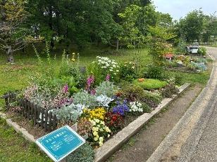 花壇の花の写真2