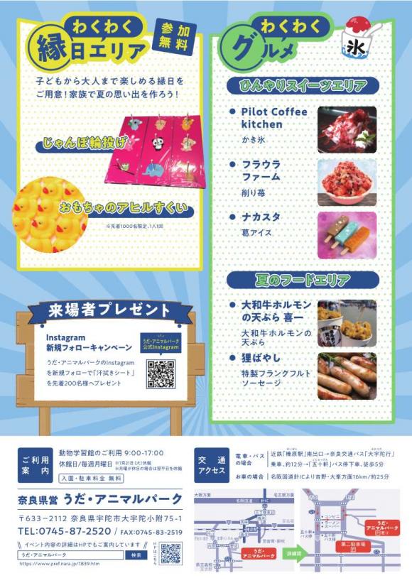 チラシ裏