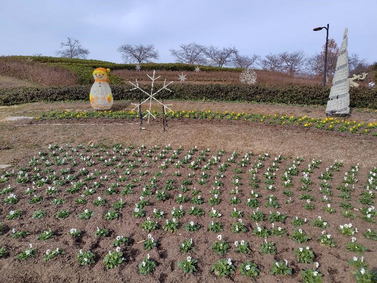 冬の花壇の様子