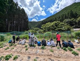 18_奈良女子大学共生科学センター（7月19日分写真）.jpg