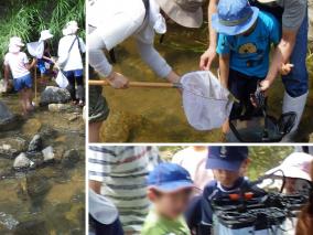 3_山添村_布目ダム_水生生物観察会_画像.jpg
