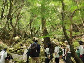 大和平野土地改良区.jpg
