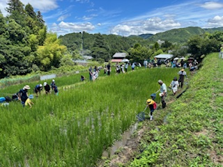 奈良県公式ホームページ