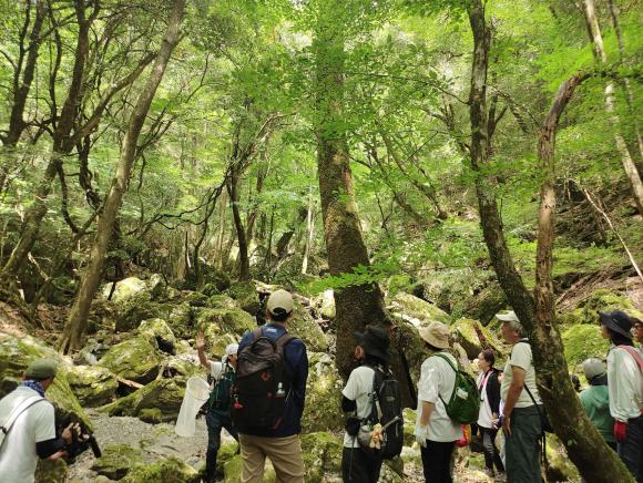 _大和平野土地改良区.jpg