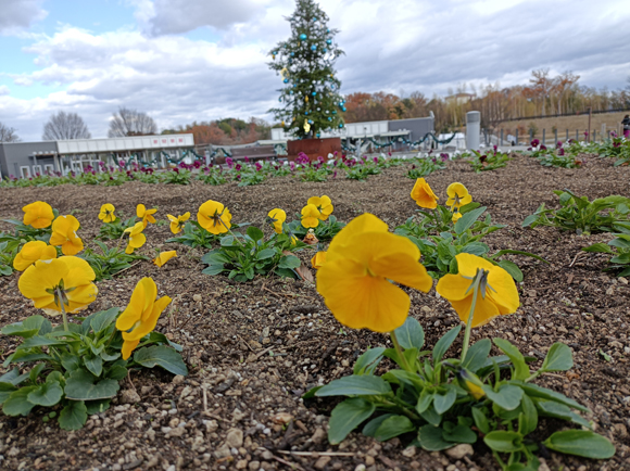 彩りの広場2