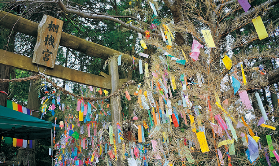mukashi02 2607