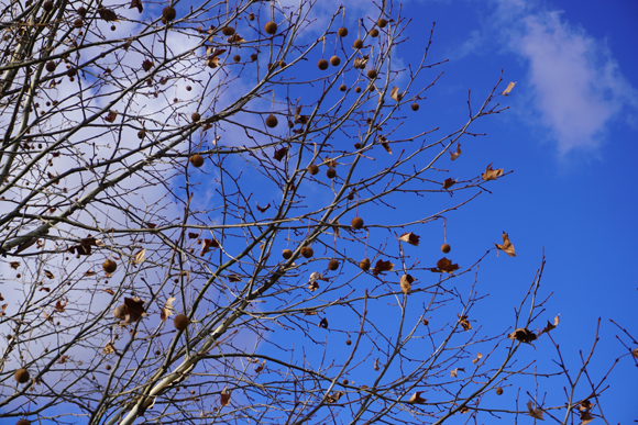 ダダオシ橋近く