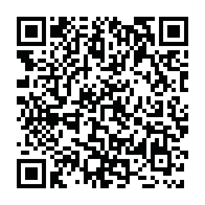 応募フォームQRコード