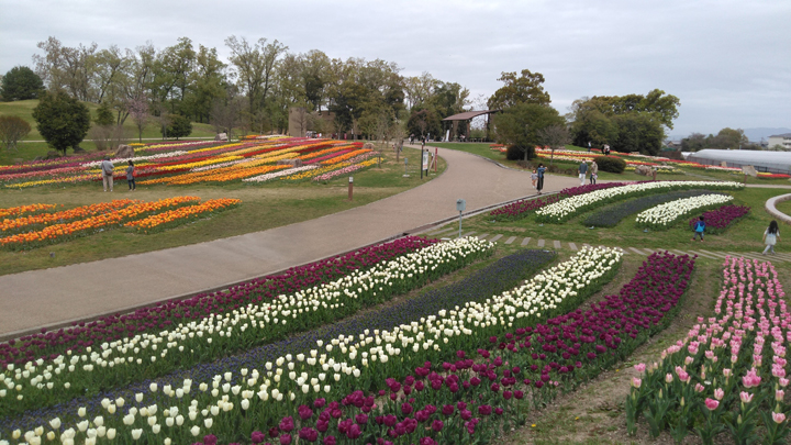 カリヨンの丘/中央エリア