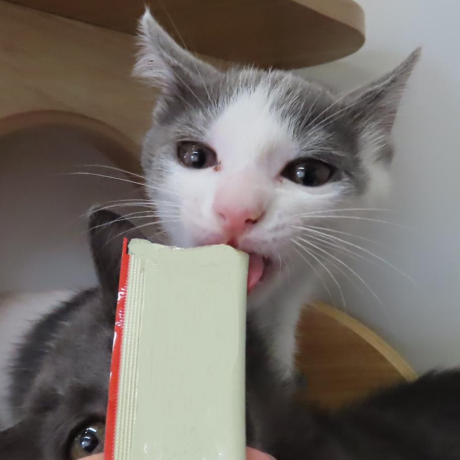 あわゆき1