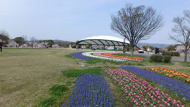 大型テント前花壇