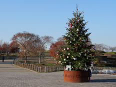 クリスマスツリー
