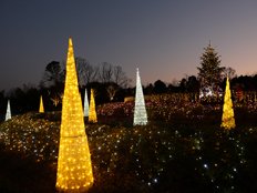 ツリー周辺の様子