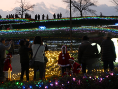 イルミネーションの様子