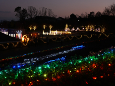 馬見花苑の上からの様子