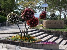 ウェルカムガーデン