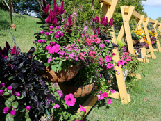 ハンギングバスケット