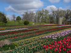 新しい花壇側の様子