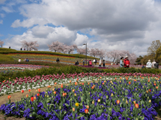 馬見花苑の様子