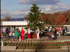 生演奏とバルーンアートの様子