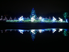 水面に映るイルミネーション