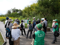 古墳ガイドツアーの様子