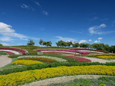 馬見花苑の様子