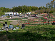 彩りの広場の様子