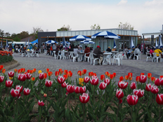 食べ物ブースの様子