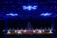 イルミネーション6