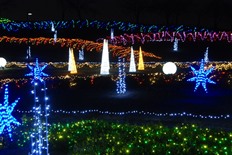 イルミネーション8