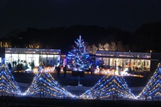 イルミネーション4