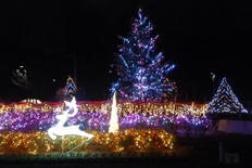 イルミネーション5