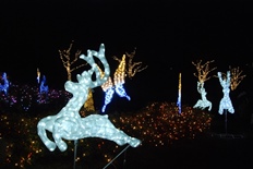 イルミネーション3