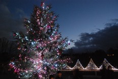 イルミネーション1