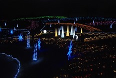 イルミネーション2