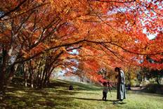 柿の木広場の紅葉