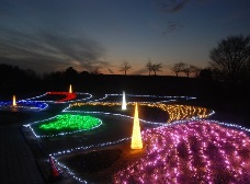 イルミネーション5