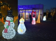 イルミネーション3