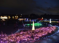 イルミネーション1