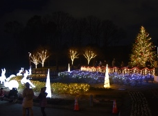 イルミネーション2