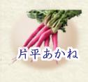 かたひらあかねのページへ