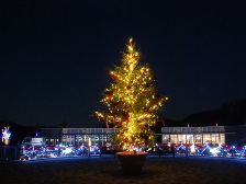 イルミネーション2