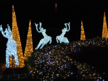 イルミネーション1