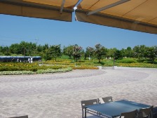 カフェレストランから見たヒマワリ畑