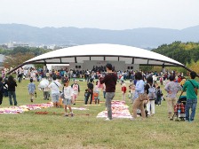 ダリア花じゅうたん1